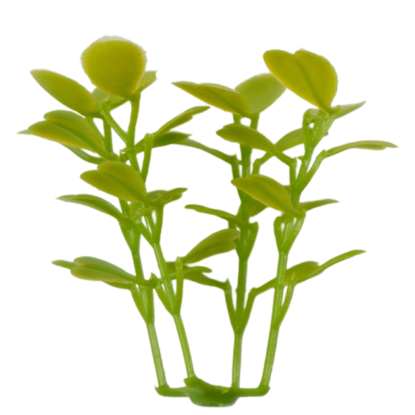 G717101B-2 G717101B-2