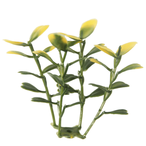 G717101C-2 G717101C-2