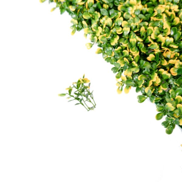 G717101C-3 G717101C-3