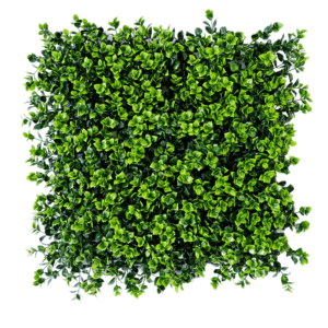 G717103A Get the Best Value Cheapest Artificial Grass for Wall Applications 