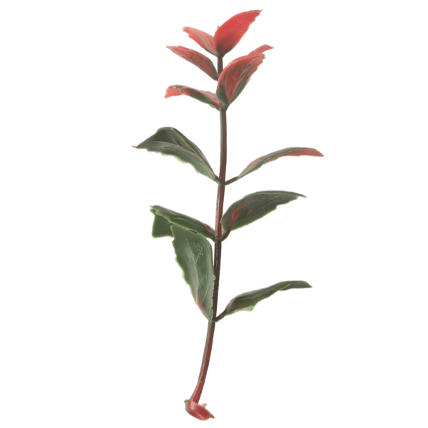 G717103B-2 G717103B-2