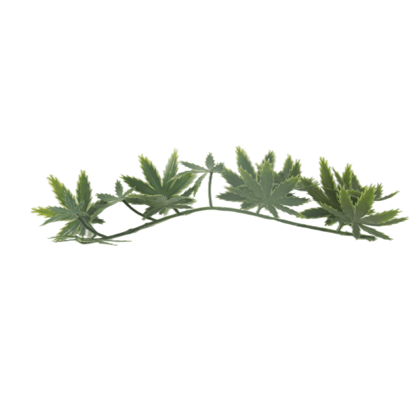 G717104A-2 G717104A-2