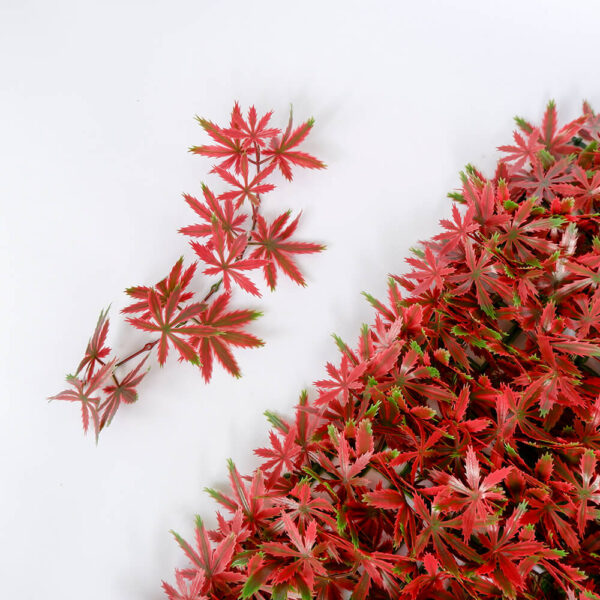 G717104B-4 G717104B-4