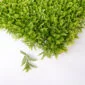 artificial plant wall panel