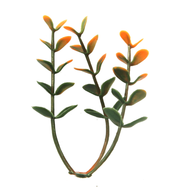 G717106B-2 G717106B-2