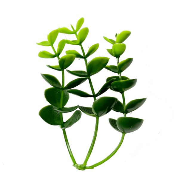 G717107A-2 artificial grass wall decor