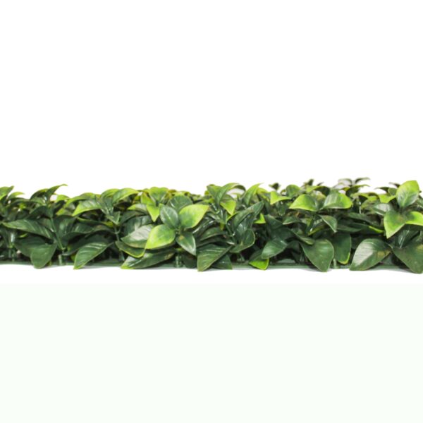 G717109A-3 G717109A-3