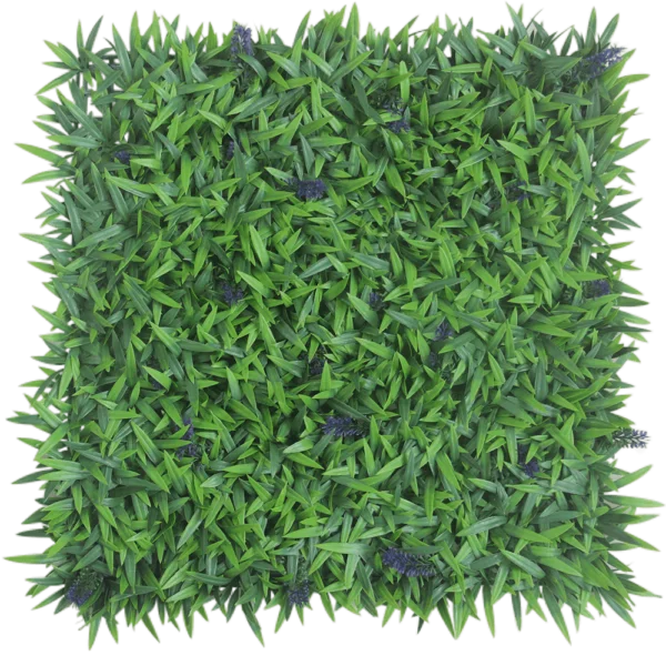 G717110A-薰衣草