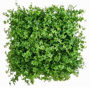 G717115A- The Creeper Fake Plant Wall Bedroom  Design your Sleep Sanctuary 