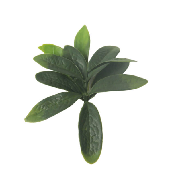 G717117B-2 G717117B-2