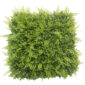 artificial grass wall backdrop