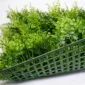 artificial grass wall backdrop