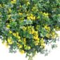 artificial plant wall indoor