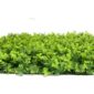 artificial green wall cheap