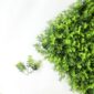 artificial green wall cheap