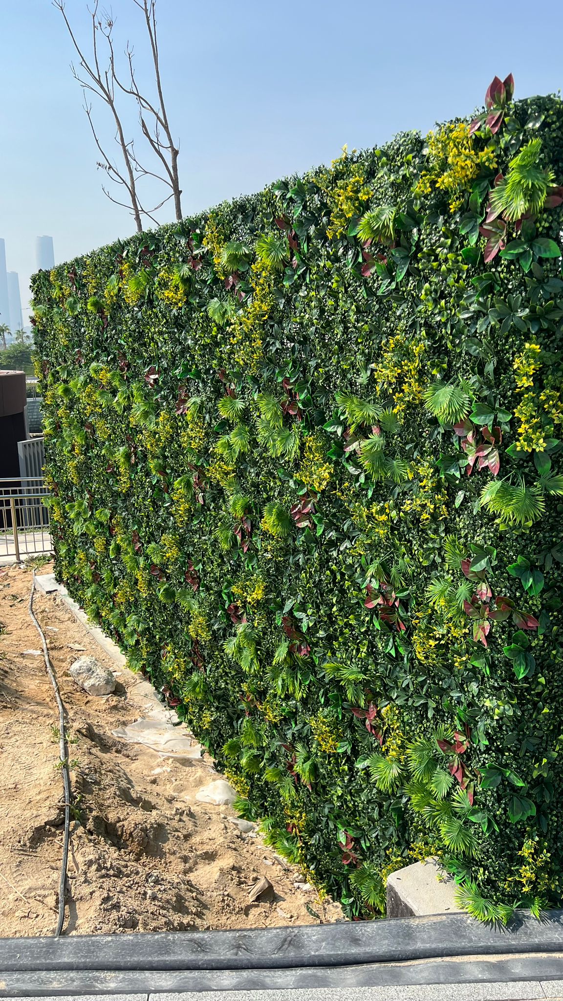 Tall interior green wall