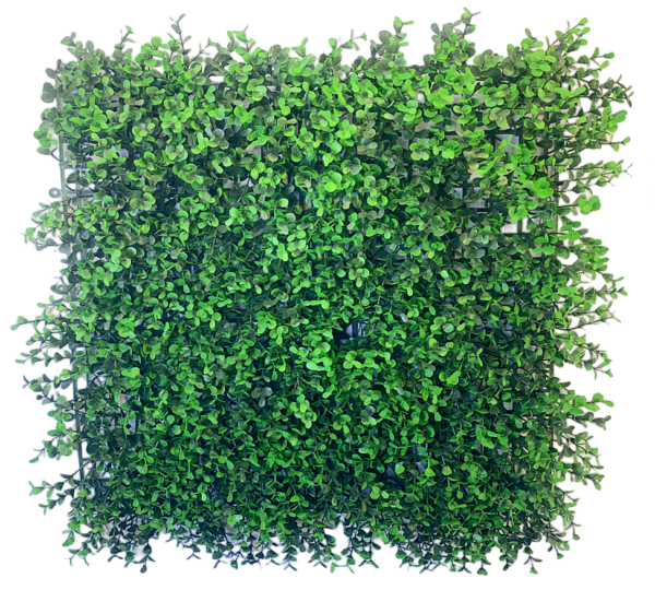 Flame Retardant-001 dense boxwood-style artificial green wall panel 100 x 100 cm